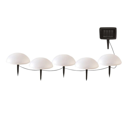 Lumisky lumijardin 5 demi - lumisky,