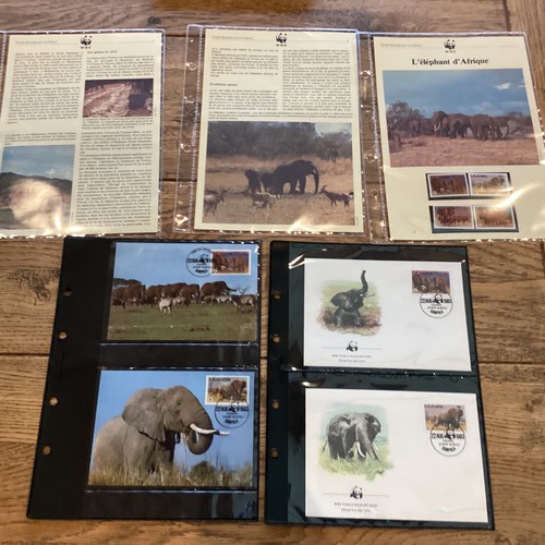 WWF L’éléphant d’Afrique