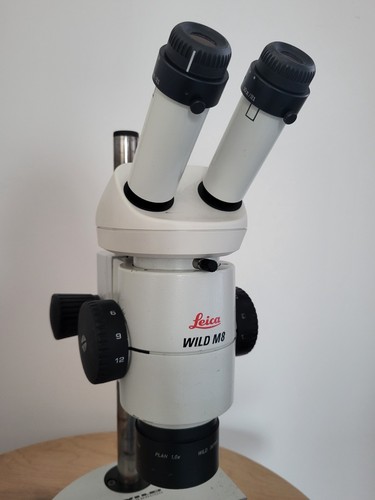 Leica wild - leica,