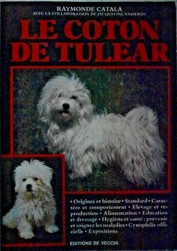 Coton tuléar raymonde - coton,