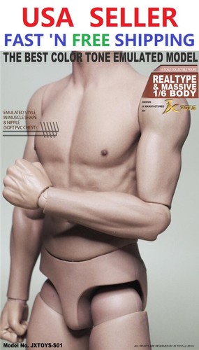 Scale male muscular body - muscular,