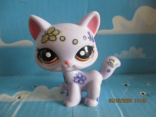 Petshop chat maine - petshop,