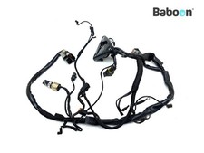 Faisceau de câblage