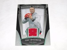 2015 Goodwin Champions TEDDY