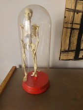 PETIT SQUELETTE ANATOMIQUE PAR BIEN JOUE