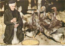 Metiers - La Gaveuse d'oies -