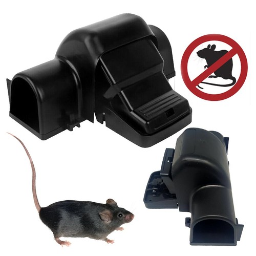 Piège souris plastique - piège,