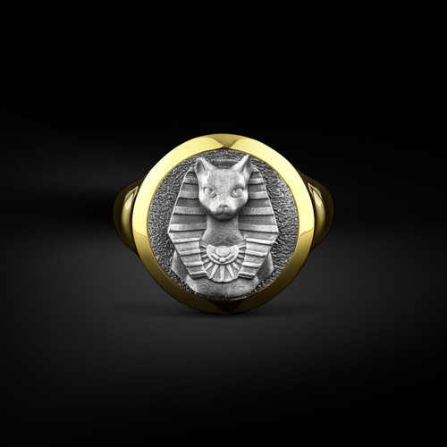 Bague chevalière homme - , en