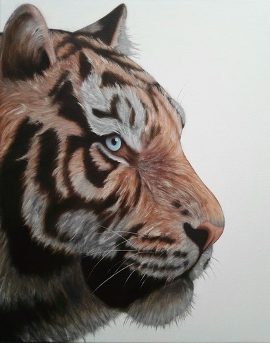 Peinture tigre huile - peinture,,