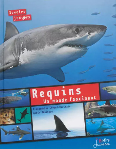Requins monde fascinant - un,