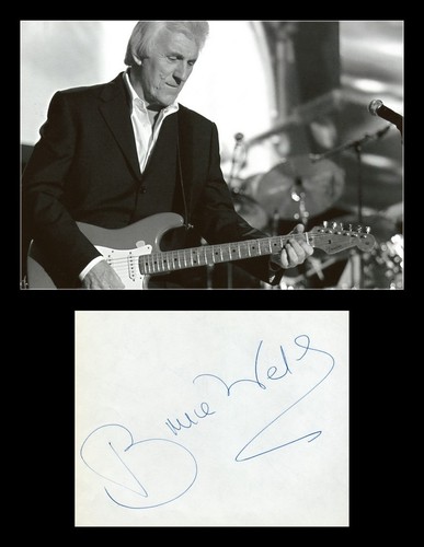 Bruce welch guitariste - bruce,