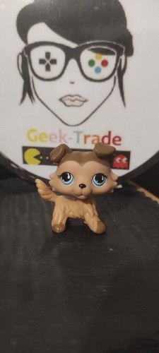 Littlest petshop lps - my,