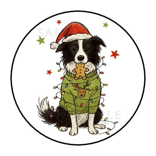 Border collie dog christmas - border,