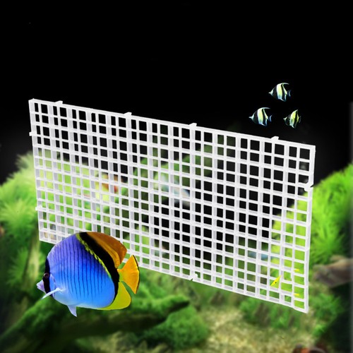 Pcs diviseur aquarium - 6,