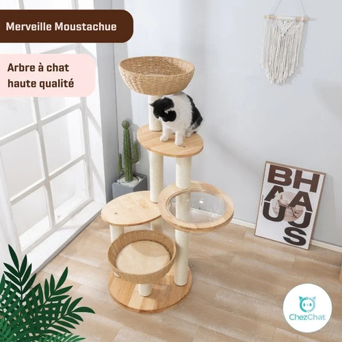 Arbre chat bois - chat,
