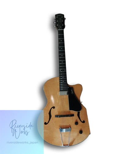 Guitare acoustique complète