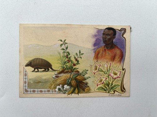Gouache maquette - gouache,