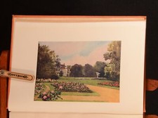 1909 Dutch Bulbs and Gardens Mima Nixon U. Silberrad S. Lyall Colour Plates 1st