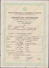1957 Ente Nazionale Cinofilia Benassati Modena Pedigree Breton spaniel