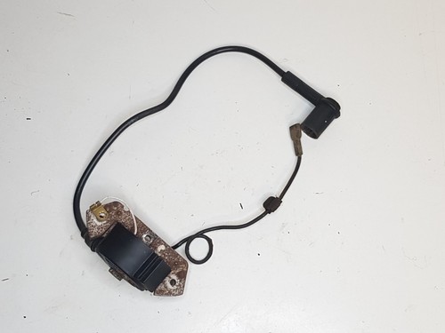 Bobine électronique moteur - électronique,