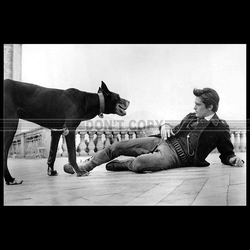 Photo 028309 alain delon il - photo,