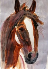 Aquarelle Cheval Noir Et Blanc