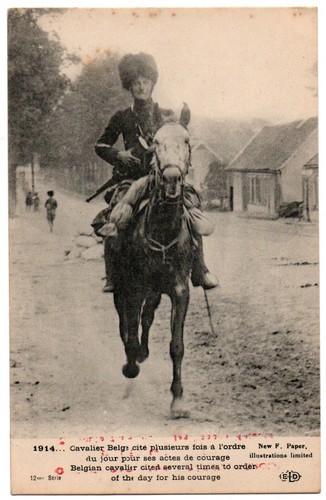 Cpa 1914 cavalier belge - cpa,
