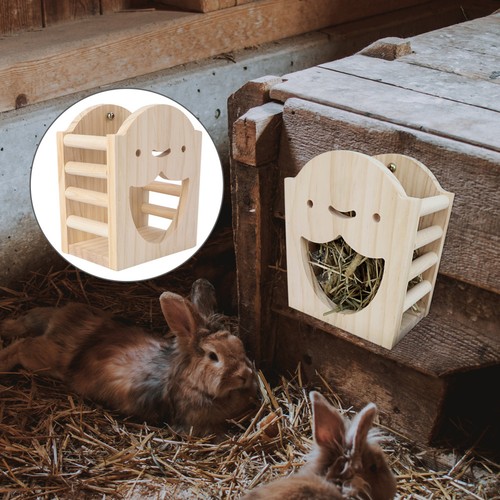 Food feeding rack for bunny - feeding,