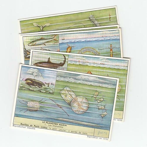 Sea plankton liebig - sea, trade