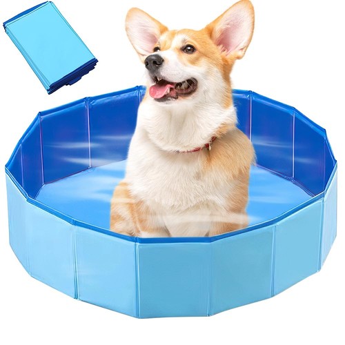 Piscine pour chien - x, 20