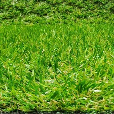 Rouleau de gazon artificiel en moquette pour terrasse ou jardin, hauteur 20 m...