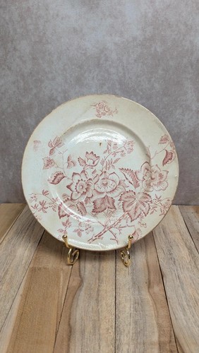 Assiette ancienne terre - terre, de