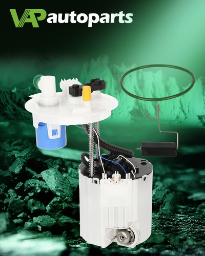 Flex fuel pump - fuel, for