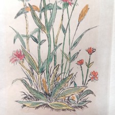 Eau-forte Ancienne Bouquet de