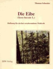 Die Eibe (Taxus baccata L.)