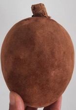 curiosité , taxidermie