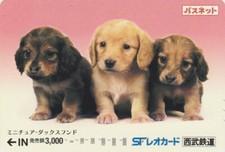 JAPAN - ANIMAL - PUPPY DOG - DACHSHUND & LABRADOR - DOG JAPAN Passnet card