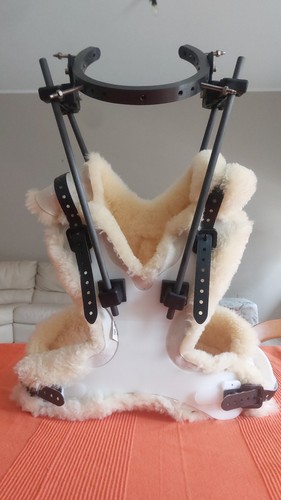 Pmt halo vest - halo, assembly