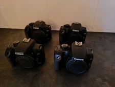 Canon EOS 1000D 10.1 MP Digital SLR Camera Body No Batteries No Charger No Lens