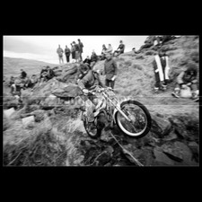 Photo M.000836 O.P.P. NEWCOMBE