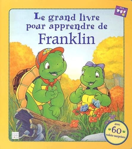 Grand livre pour apprendre - grand,