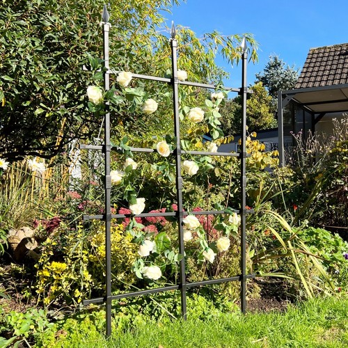 Treillis jardin pour - treillis, de