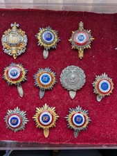 Beau Lot de 10 insignes D'élu