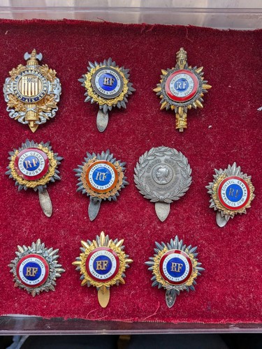 Beau lot insignes d élu - lot,