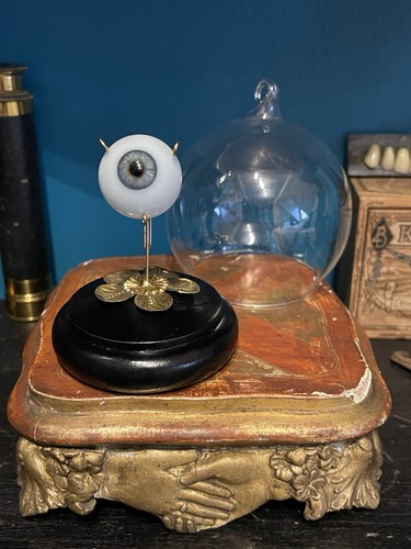 Rare prothèse oculaire semi - prothèse,