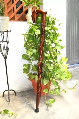 Tête aigle sculptée en - tête,