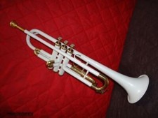 Trumpet SALE ! COQUE RIGIDE