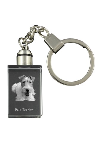 Fox terrier drahthaar - terrier,