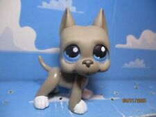 PETSHOP ARGENTINE GREAT DOG N°184 * WITH PINK MAGNET