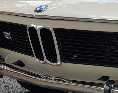 Grille rein avant bmw - grille,